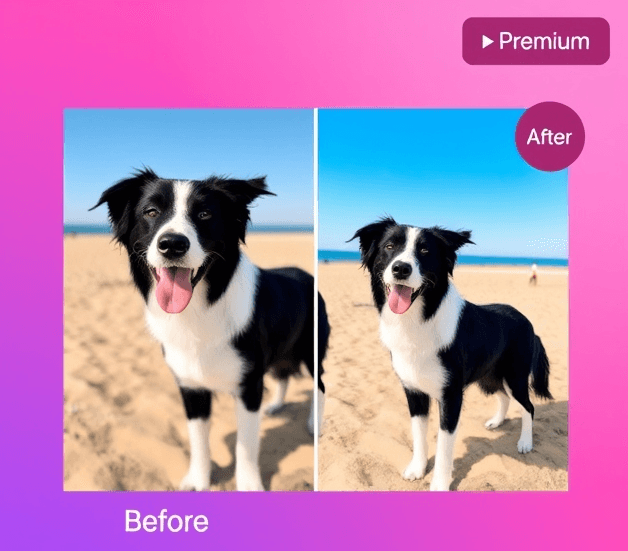 Adobe Lightroom Mod APK