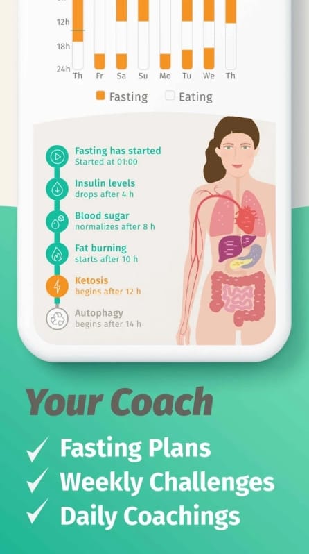 BodyFast Mod APK