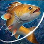 Fishing Hook Mod APK