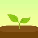 Forest Mod APK