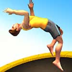 Flip Master APK