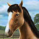 My Horse Mod APK